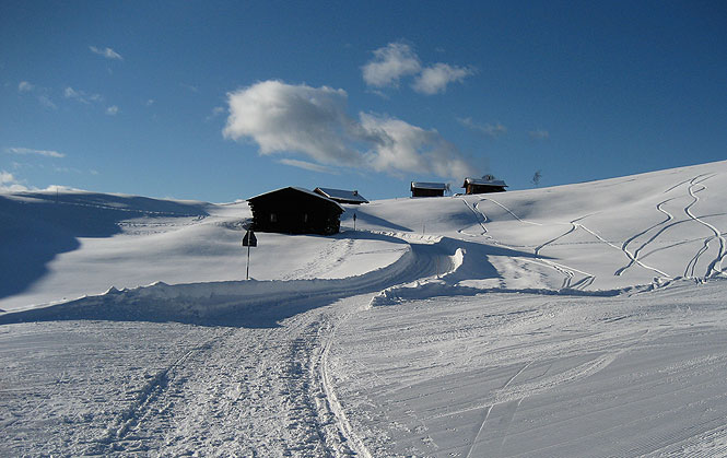 Winter activities - Apartments Bellaria in Ortisei in Val Gardena